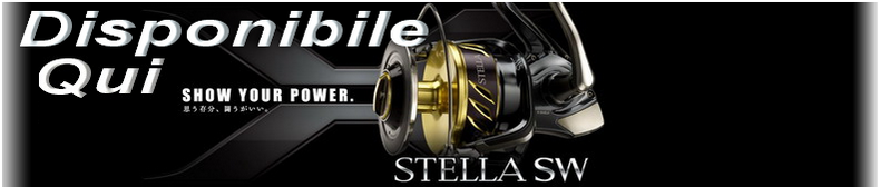Disponibile New Shimano Stella SWB